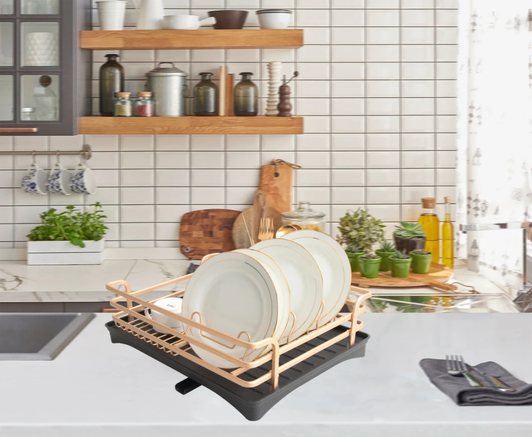 Rust Proof Dish Drying Rack with Plastic Drainboard and Utensil Holder