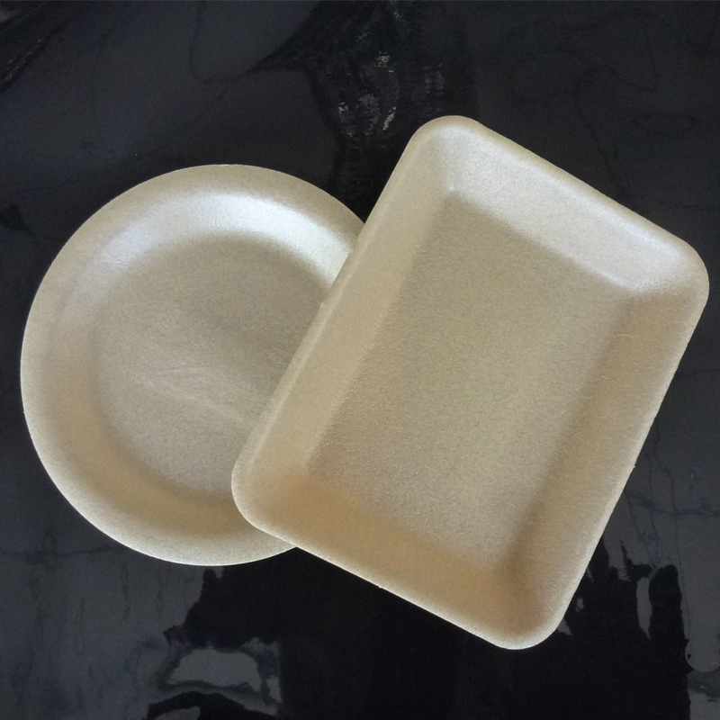 Multi Sizes Available Nature Biodegradable Fast Food Plate